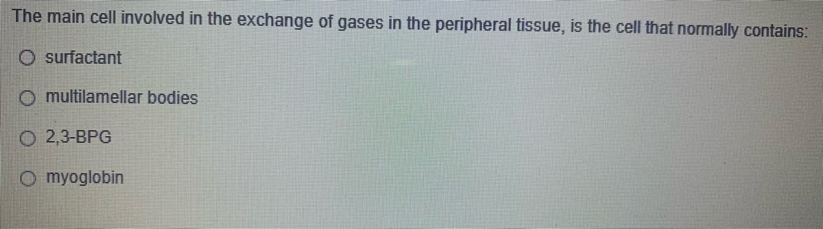 The main cell involved in the exchange of gases in the peripheral tissue, is the cell that normally contains:
surfactant
multilamellar bodies
O 2,3-BPG
myoglobin
