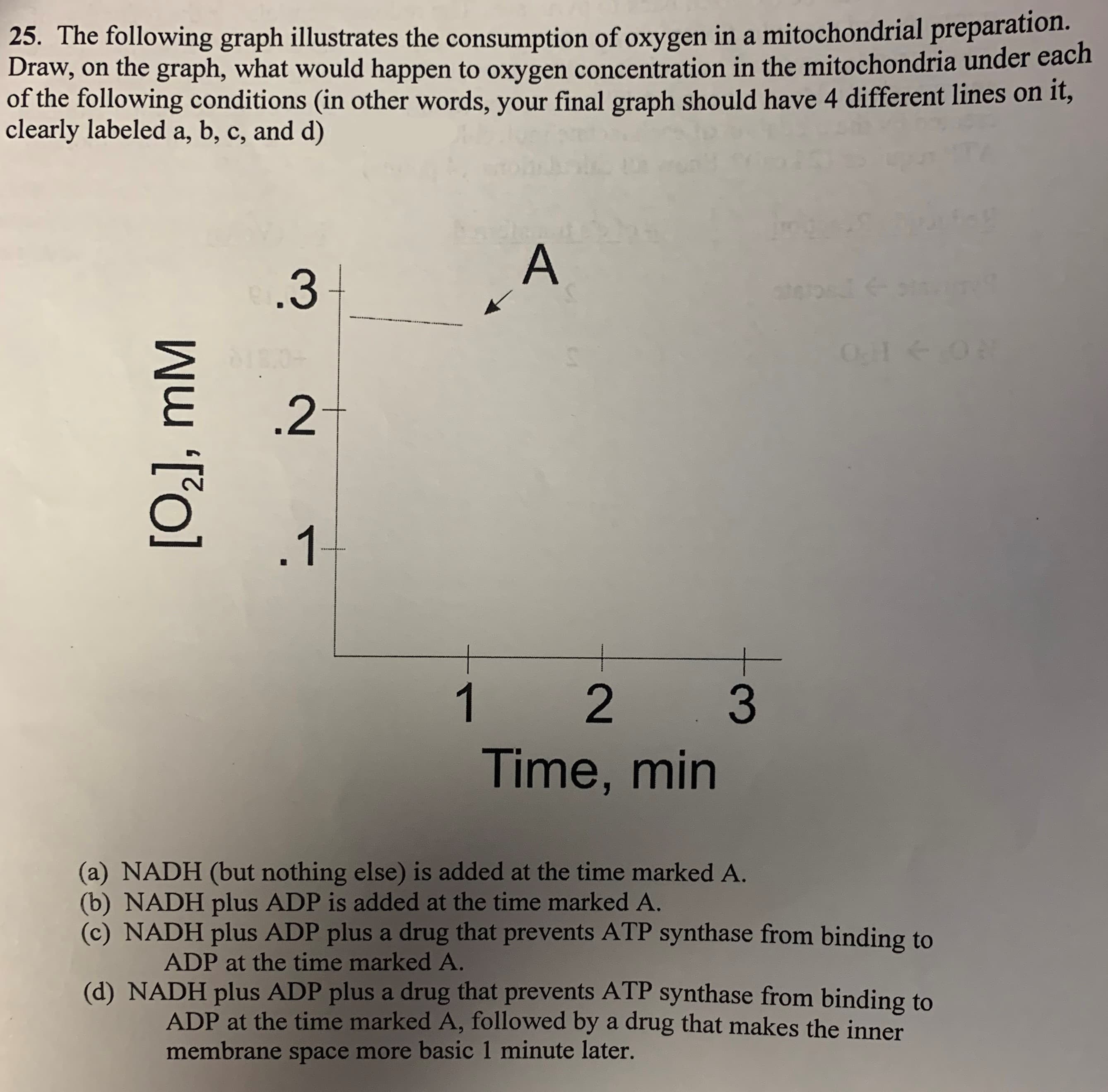 25. The following graph illustrates the consumption of oxygen in a mitochondrial preparation.
Draw, on the graph, what would happen to oxygen concentration in the mitochondria under each
of the following conditions (in other words, your final graph should have 4 different lines on it,
clearly labeled a, b, c, and d)
A
.3
dte:
0cT ON
01E.0
.2t
.1
1 2 3
Time, min
(a) NADH (but nothing else) is added at the time marked A
(b) NADH plus ADP is added at the time marked A.
(c) NADH plus ADP plus a drug that prevents ATP synthase from binding to
ADP at the time marked A.
(d) NADH plus ADP plus a drug that prevents ATP synthase from binding
ADP at the time marked A, followed by a drug that makes the inner
membrane space more basic 1 minute later.
[02], mM
