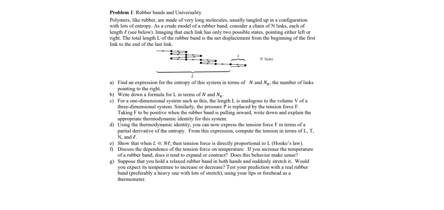 Problem 1: Rubber bands and Universality
Polymers, like rubber, are made of very long molecules, usually tangled up in a configuration
with lots of entropy. As a crude model of a rubber band, consider a chain of N links, each of
length e (see below). Imaging that each link has only two possible states, pointing either left or
right. The total length L of the rubber band is the net displacement from the beginning of the first
link to the end of the last link.
N links
a) Find an expression for the entropy of this system in terms of N and Ng, the number of links
pointing to the right.
b) Write down a formula for L in terms of N and Ng.
c) For a one-dimensional system such as this, the length L is analogous to the volume V of a
three-dimensional system. Similarly, the pressure P is replaced by the tension force F.
Taking F to be positive when the rubber band is pulling inward, write down and explain the
appropriate thermodynamic identity for this system.
d) Using the thermodynamic identity, you can now express the tension force F in terms of a
partial derivative of the entropy. From this expression, compute the tension in terms of L, T,
N, and l.
e) Show that when L « Ne, then tension force is directly proportional to L (Hooke's law).
f) Discuss the dependence of the tension force on temperature. If you increase the temperature
of a rubber band, does it tend to expand or contract? Does this behavior make sense?
g) Suppose that you hold a relaxed rubber band in both hands and suddenly stretch it. Would
you expect its temperature to increase or decrease? Test your prediction with a real rubber
band (preferably a heavy one with lots of stretch), using your lips or forehead as a
thermometer.
