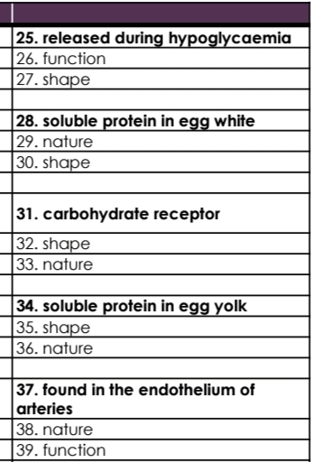 25. released during hypoglycaemia
26. function
27. shape
28. soluble protein in egg white
29. nature
30. shape
31. carbohydrate receptor
32. shape
33. nature
34. soluble protein in egg yolk
35. shape
|36. nature
37. found in the endothelium of
arteries
38. nature
39. function
