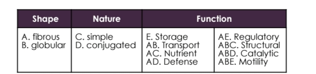 Shape
Nature
Function
E. Storage
B. globular D. conjugated | AB. Transport
AC. Nutrient
AD. Defense
AE. Regulatory
ABC. Structural
ABD. Catalytic
ABE. Motilitý
A. fibrous
C. simple
