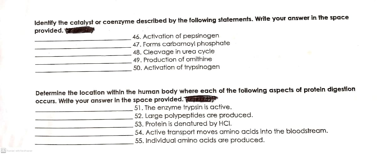 Identify the catalyst or coenzyme described by the following statements. Write your answer in the space
provided.
46. Activation of pepsinogen
47. Forms carbamoyl phosphate
48. Cleavage in urea cycle
49. Production of ornithine
50. Activation of trypsinogen
Determine the location within the human body where each of the following aspects of protein digestion
occurs. Write your answer in the space provided. E
51. The enzyme trypsin is active.
52. Large polypeptides are produced.
53. Protein is denatured by HCI.
54. Active transport moves amino acids into the bloodstream.
55. Individual amino acids are produced.
CS
