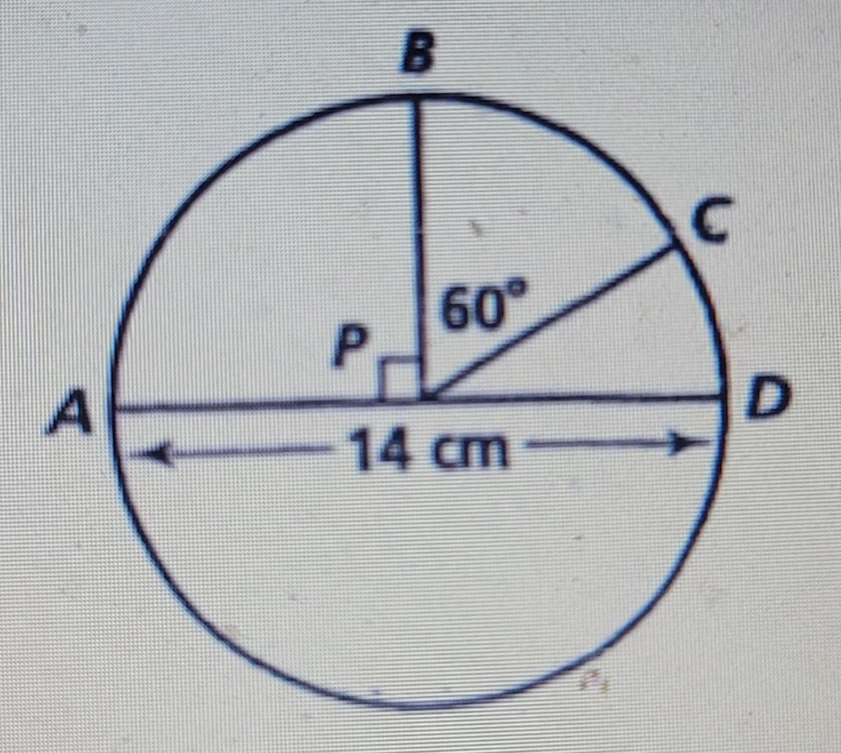 60°
P.
D.
14 cm
て
