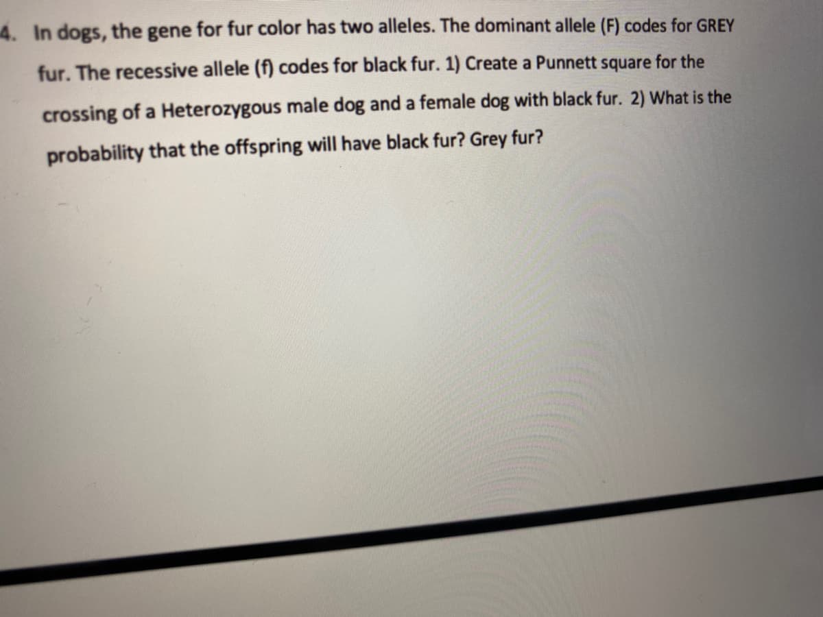 4. In dogs, the gene for fur color has two alleles. The dominant allele (F) codes for GREY
fur. The recessive allele (f) codes for black fur. 1) Create a Punnett square for the
crossing of a Heterozygous male dog and a female dog with black fur. 2) What is the
probability that the offspring will have black fur? Grey fur?
