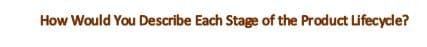 How Would You Describe Each Stage of the Product Lifecycle?
