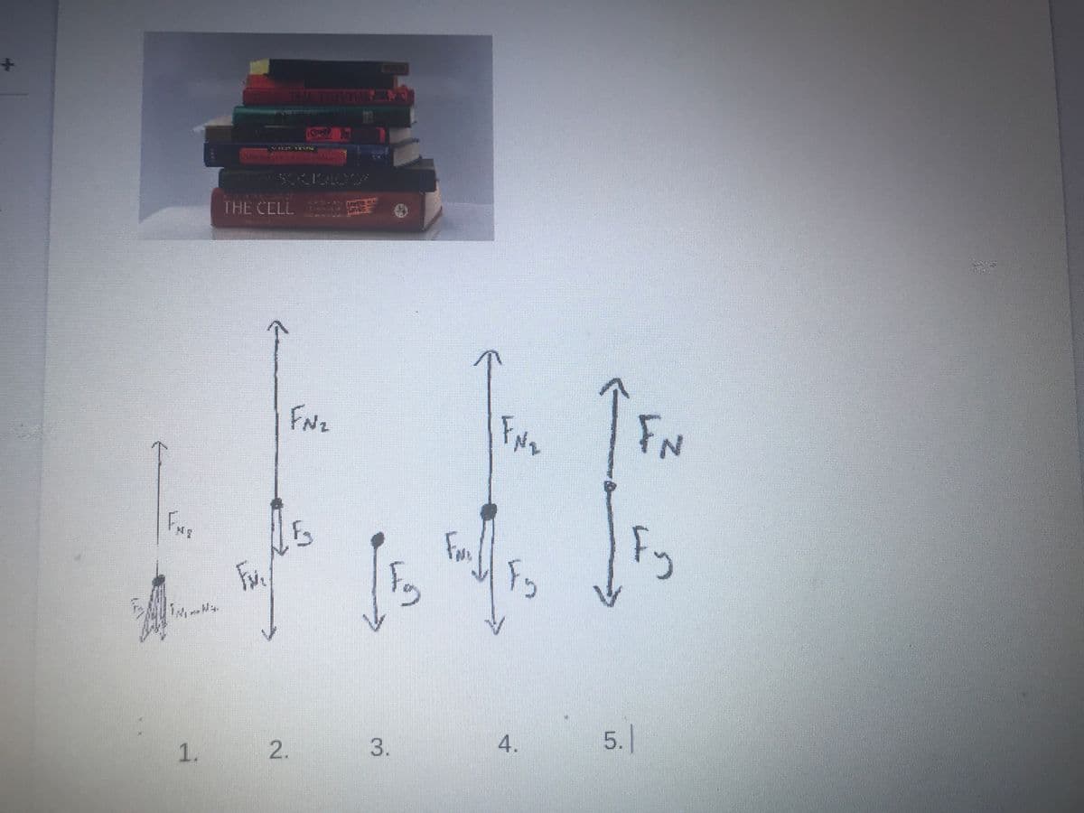 Far
INN.
1.
******
FM,
SOCIOLOOF
THE CELL
2.
FN₂
3.
Fo
FN₂
suffs.
4.
FN
Fy
5.