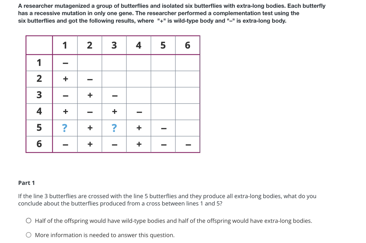 A researcher mutagenized a group of butterflies and isolated six butterflies with extra-long bodies. Each butterfly
has a recessive mutation in only one gene. The researcher performed a complementation test using the
six butterflies and got the following results, where "+" is wild-type body and "_" is extra-long body.
Part 1
1
2
3
4
5
6
1 2 3 4 5 6
-
+
-
I
+
—
? +
+
I
+ N.
?
I
1+
+
I
If the line 3 butterflies are crossed with the line 5 butterflies and they produce all extra-long bodies, what do you
conclude about the butterflies produced from a cross between lines 1 and 5?
Half of the offspring would have wild-type bodies and half of the offspring would have extra-long bodies.
O More information is needed to answer this question.