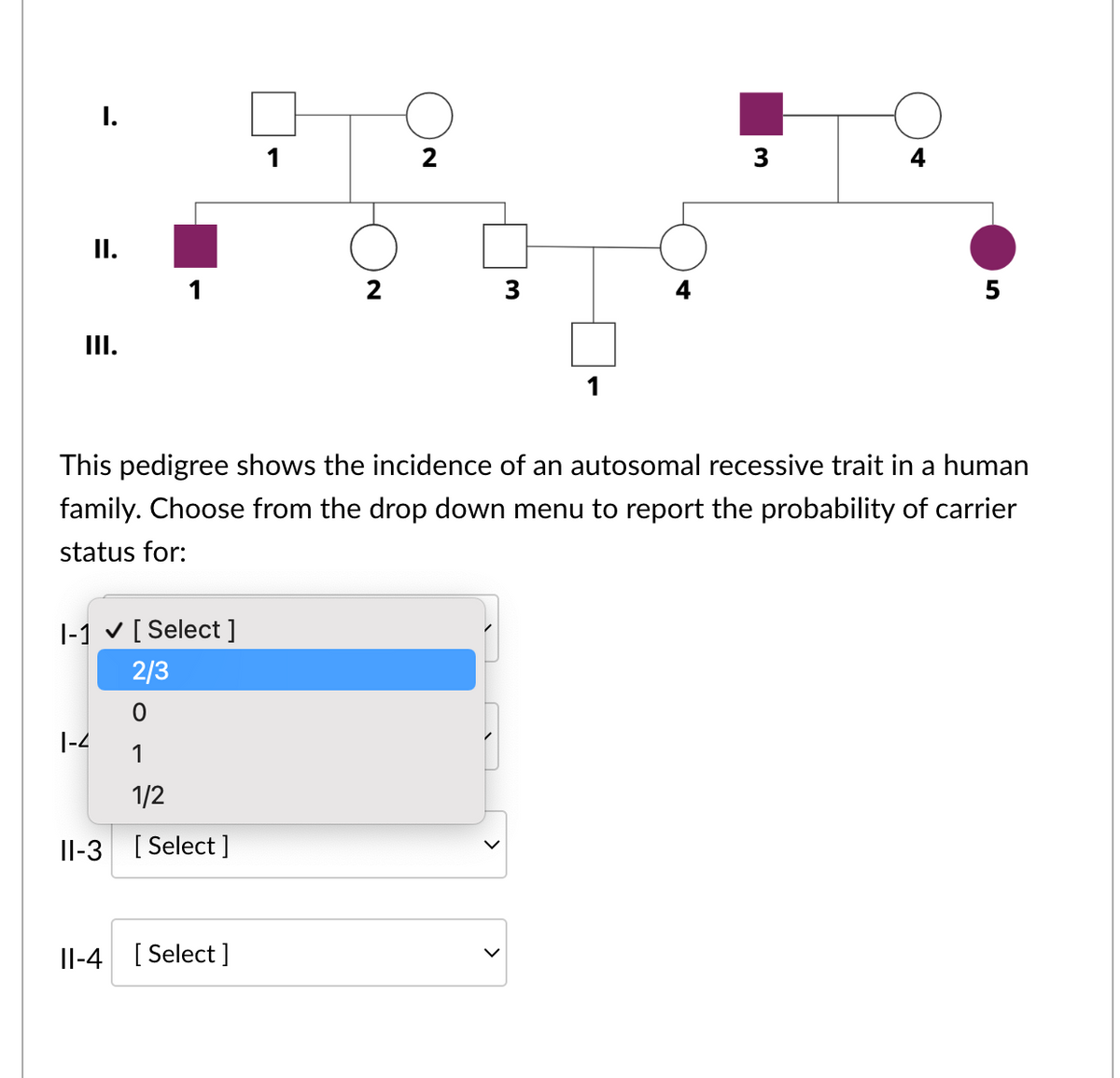 II.
III.
1-1 ✓ [Select ]
2/3
0
1
1/2
11-3 [Select]
1-4
1
11-4 [Select]
2
2
3
This pedigree shows the incidence of an autosomal recessive trait in a human
family. Choose from the drop down menu to report the probability of carrier
status for:
>
3
4
5