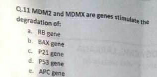 Q.11 MDM2 and MDMX are genes stimulate the
degradation of:
a. RB gene
b. BAX gene
c. P21 gene
d. P53 gene
e. APC gene
