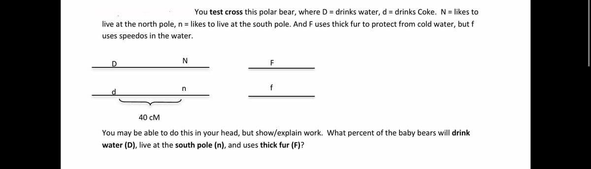 You test cross this polar bear, where D = drinks water, d = drinks Coke. N = likes to
live at the north pole, n = likes to live at the south pole. And F uses thick fur to protect from cold water, but f
uses speedos in the water.
F
n
f
40 cM
You may be able to do this in your head, but show/explain work. What percent of the baby bears will drink
water (D), live at the south pole (n), and uses thick fur (F)?
