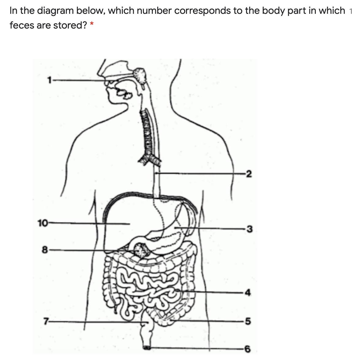 In the diagram below, which number corresponds to the body part in which
feces are stored? *
10-
3
8
7-
-5
