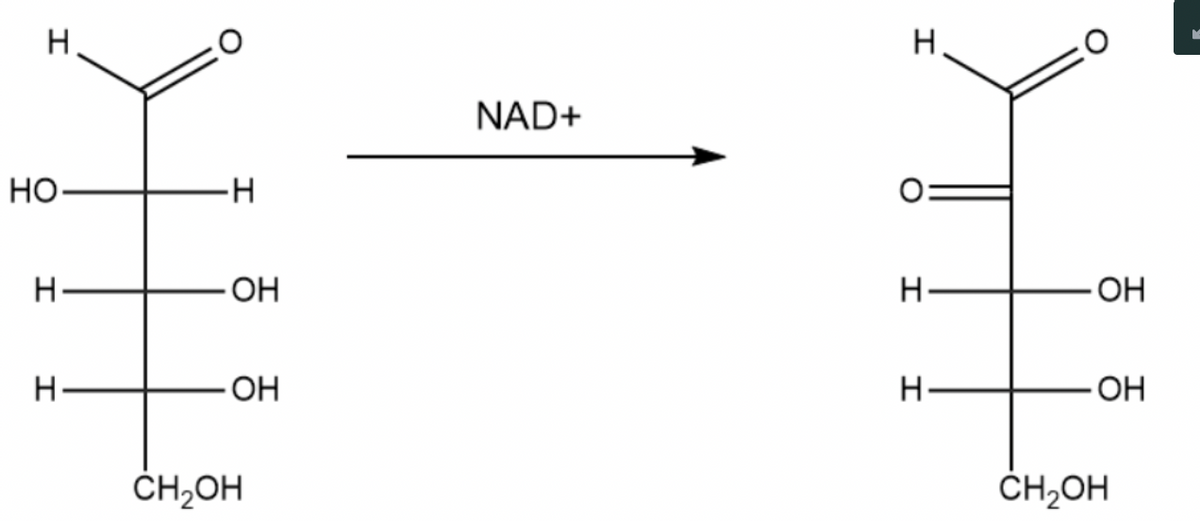 Н
Но
н
н
-Н
ОН
ОН
CH₂OH
NAD+
I
Н
I
ОН
ОН
CH₂OH