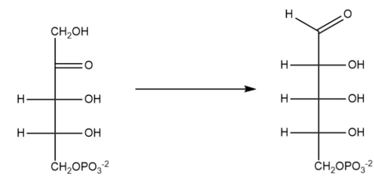 I
I
CH₂OH
OH
ОН
ÖH2OPO3-2
H.
I
I
I
I
ОН
ОН
ОН
CH2OPO3-2