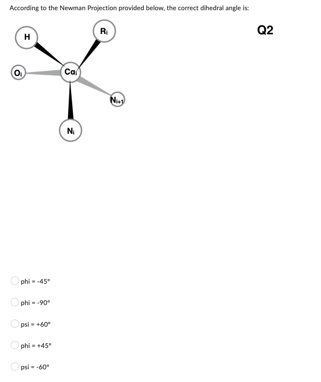 According to the Newman Projection provided below, the correct dihedral angle is:
R₁
H
Ca
O₁
C
C
phi = -45°
phi = -90°
psi = +60°
phi = +45°
psi = -60°
N₁
Ni+1
Q2