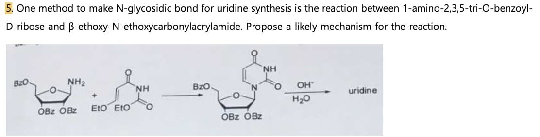 5. One method to make N-glycosidic bond for uridine synthesis is the reaction between 1-amino-2,3,5-tri-O-benzoyl-
D-ribose and B-ethoxy-N-ethoxycarbonylacrylamide. Propose a likely mechanism for the reaction.
Bz0.
NH₂
OBz OBz
+
Eto Eto
ΝΗ
O
Bz0.
OBz OBz
ΝΗ
OH™
H₂O
uridine