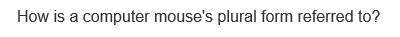 How is a computer mouse's plural form referred to?
