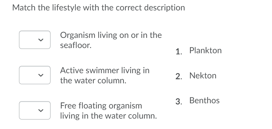 Match the lifestyle with the correct description
Organism living on or in the
seafloor.
1. Plankton
Active swimmer living in
2. Nekton
the water column.
3. Benthos
Free floating organism
living in the water column.
