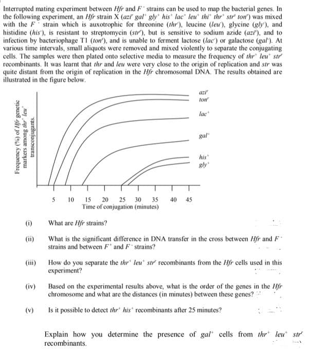 Interrupted mating experiment between Hfr and F strains can be used to map the bacterial genes. In
the following experiment, an Hfr strain X (azi' gal" gly" his lac leu' thi" thr' str' ton') was mixed
with the F strain which is auxotrophic for threonine (thr'), leucine (leu'), glycine (gly), and
histidine (his'), is resistant to streptomycin (str), but is sensitive to sodium azide (azi"), and to
infection by bacteriophage TI (ton'), and is unable to ferment lactose (lac') or galactose (gal). At
various time intervals, small aliquots were removed and mixed violently to separate the conjugating
cells. The samples were then plated onto selective media to measure the frequency of thr' leu' str
recombinants. It was learnt that thr and leu were very close to the origin of replication and str was
quite distant from the origin of replication in the Hfr chromosomal DNA. The results obtained are
illustrated in the figure below.
azi
ton
lac
gal
his
gly
5 10 15 20 25 30 35
Time of conjugation (minutes)
40
45
(i)
What are Hfr strains?
(ii)
What is the significant difference in DNA transfer in the cross between Hfr and F
strains and between F* and F strains?
(iii)
How do you separate the thr leu" str recombinants from the Hfr cells used in this
experiment?
(iv)
Based on the experimental results above, what is the order of the genes in the Hfr
chromosome and what are the distances (in minutes) between these genes?
(v)
Is it possible to detect thr' his' recombinants after 25 minutes?
Explain how you determine the presence of gal cells from thr leu str
recombinants.
Frequency (%) of Hfr genetic
markers among thr" leu
transconjugants.
