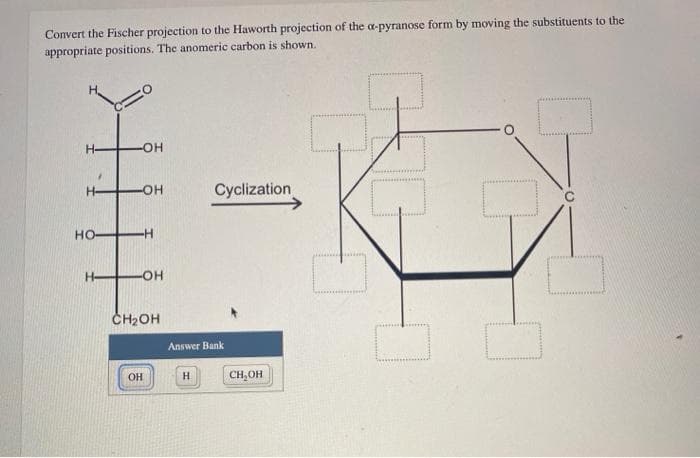 Convert the Fischer projection to the Haworth projection of the a-pyranose form by moving the substituents to the
appropriate positions. The anomeric carbon is shown.
H-
-HO-
Cyclization
H-
O-
но
-H-
H-
CH2OH
Answer Bank
OH
H
CH,OH
