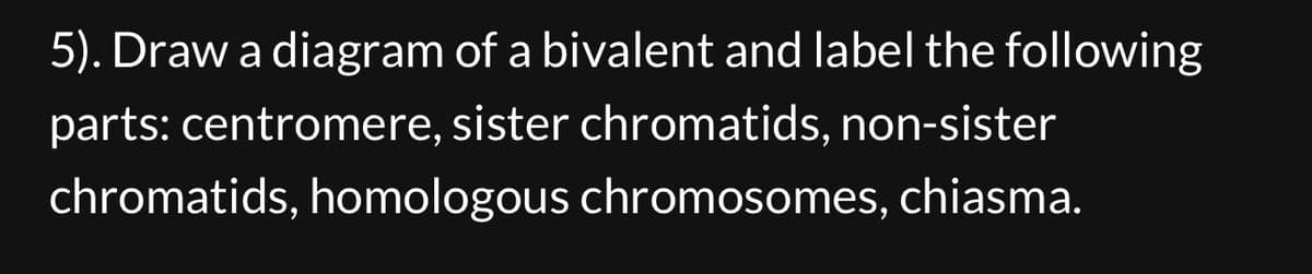 5). Draw a diagram of a bivalent and label the following
parts: centromere, sister chromatids, non-sister
chromatids, homologous chromosomes, chiasma.