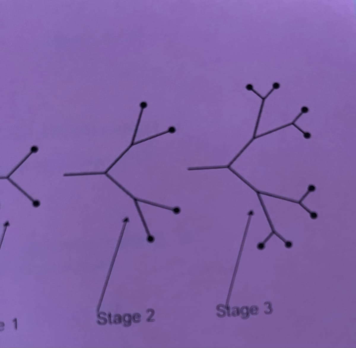 e 1
Stage 2
Stage 3