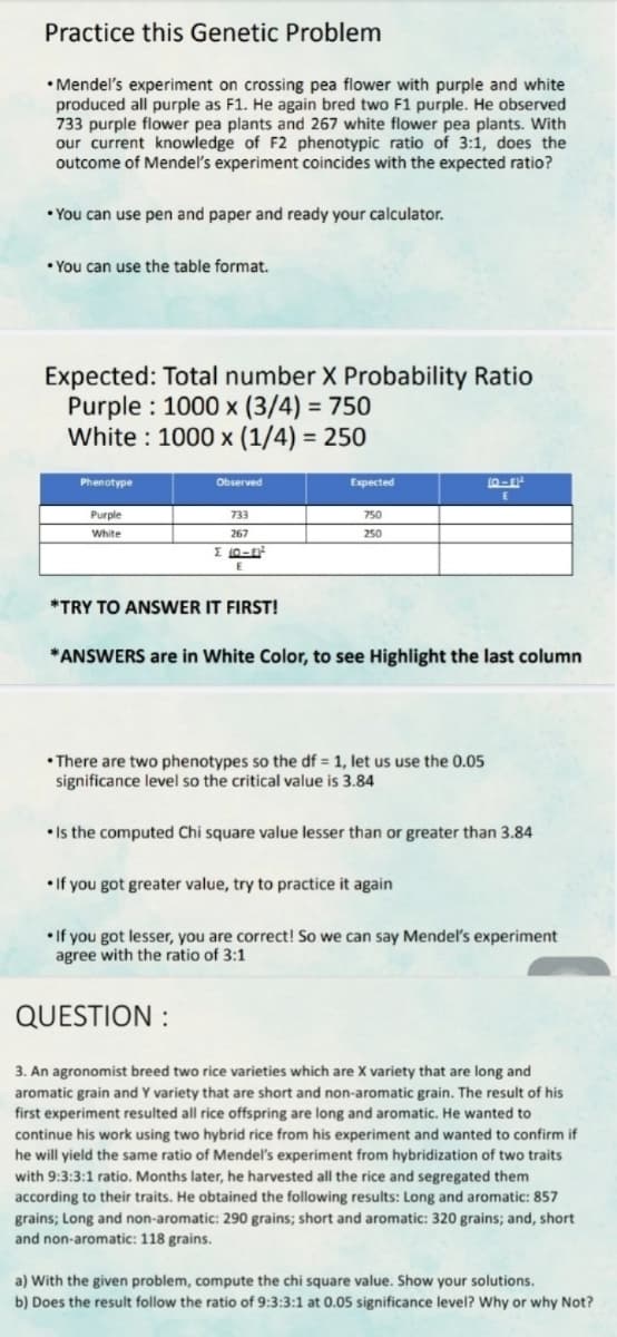 Practice this Genetic Problem
• Mendel's experiment on crossing pea flower with purple and white
produced all purple as F1. He again bred two F1 purple. He observed
733 purple flower pea plants and 267 white flower pea plants. With
our current knowledge of F2 phenotypic ratio of 3:1, does the
outcome of Mendel's experiment coincides with the expected ratio?
• You can use pen and paper and ready your calculator.
• You can use the table format.
Expected: Total number X Probability Ratio
Purple : 1000 x (3/4) = 750
White : 1000 x (1/4) = 250
%3D
%3D
Phenotype
Observed
Expected
Purple
733
750
White
267
250
I 10-E
*TRY TO ANSWER IT FIRST!
*ANSWERS are in White Color, to see Highlight the last column
• There are two phenotypes so the df = 1, let us use the 0.05
significance level so the critical value is 3.84
• Is the computed Chi square value lesser than or greater than 3.84
• If you got greater value, try to practice it again
• If you got lesser, you are correct! So we can say Mendel's experiment
agree with the ratio of 3:1
QUESTION :
3. An agronomist breed two rice varieties which are X variety that are long and
aromatic grain and Y variety that are short and non-aromatic grain. The result of his
first experiment resulted all rice offspring are long and aromatic. He wanted to
continue his work using two hybrid rice from his experiment and wanted to confirm if
he will yield the same ratio of Mendel's experiment from hybridization of two traits
with 9:3:3:1 ratio. Months later, he harvested all the rice and segregated them
according to their traits. He obtained the following results: Long and aromatic: 857
grains; Long and non-aromatic: 290 grains; short and aromatic: 320 grains; and, short
and non-aromatic: 118 grains.
a) With the given problem, compute the chi square value. Show your solutions.
b) Does the result follow the ratio of 9:3:3:1 at 0.05 significance level? Why or why Not?
