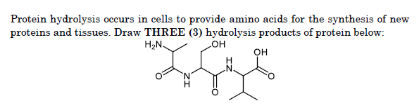 Protein hydrolysis occurs in cells to provide amino acids for the synthesis of new
proteins and tissues. Draw THREE (3) hydrolysis products of protein below:
H2N.
но
он
