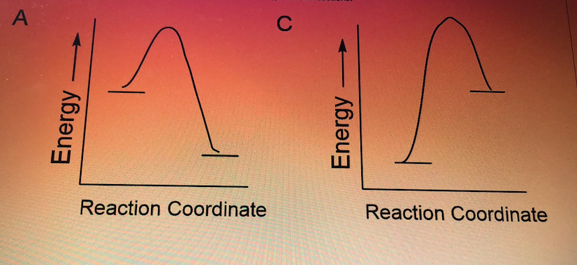 # Reaction Energy Diagrams

The image consists of two energy profile diagrams named A and C. Each diagram illustrates the energy changes that occur during a chemical reaction plotted against the reaction coordinate.

## Diagram A

### Description:
- **Y-axis (Vertical):** Energy
- **X-axis (Horizontal):** Reaction Coordinate
- The diagram begins with a certain energy level, rises to a peak (indicating the activation energy of the reaction), and then drops to a lower level, showing the energy of the products. 

### Key Points:
- **Initial Energy Level:** Indicates the energy of the reactants.
- **Peak:** Represents the transition state of the reaction, which is the highest energy point.
- **Final Energy Level:** Shows the energy of the products, which is lower than that of the reactants, indicating an exothermic reaction.

## Diagram C

### Description:
- **Y-axis (Vertical):** Energy
- **X-axis (Horizontal):** Reaction Coordinate
- This diagram also begins at a certain energy level, but after reaching the peak energy (activation energy), it drops to a level higher than the starting point, indicating an endothermic reaction.

### Key Points:
- **Initial Energy Level:** Indicates the energy of the reactants.
- **Peak:** Represents the transition state, the highest energy point in this reaction.
- **Final Energy Level:** Indicates the energy of the products, which is higher than that of the reactants, showing the reaction absorbed energy.

These diagrams are commonly used to understand the energetic changes and the activation energies associated with different stages of a chemical reaction. They help in visualizing energy barriers and the overall energy change (ΔE) of the reactions.