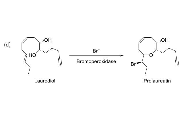 (d)
HO
MOH
Laurediol
Br+
Bromoperoxidase
Br
..OH
Prelaureatin