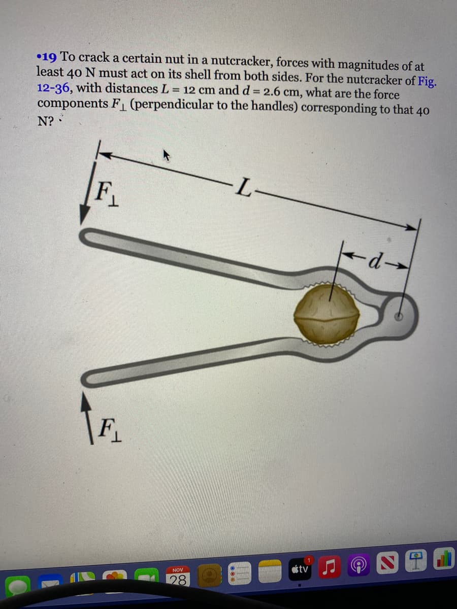 •19 To crack a certain nut in a nutcracker, forces with magnitudes of at
least 40 N must act on its shell from both sides. For the nutcracker of Fig.
12-36, with distances L = 12 cm and d = 2.6 cm, what are the force
components F (perpendicular to the handles) corresponding to that 40
N?
--
F
-p-
F_
otv
NOV
28
