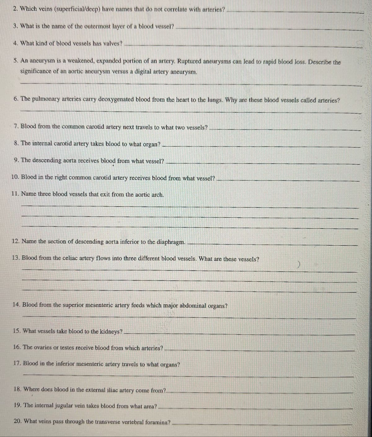 2. Which veins (superficial/deep) have names that do not correlate with arteries?
3. What is the name of the outermost layer of a blood vessel?
4. What kind of blood vessels has valves?
5. An aneurysm is a weakened, expanded portion of an artery. Ruptured aneurysms can lead to rapid blood loss. Describe the
significance of an aortic aneurysm versus a digital artery aneurysm.
6. The pulmonary arteries carry deoxygenated blood from the heart to the lungs. Why are these blood vessels called arteries?
7. Blood from the common carotid artery next travels to what two vessels?
8. The internal carotid artery takes blood to what organ?
9. The descending aorta receives blood from what vessel?
10. Blood in the right common carotid artery receives blood from what vessel?
11. Name three blood vessels that exit from the aortic arch.
12. Name the section of descending aorta inferior to the diaphragm.
13. Blood from the celiac artery flows into three different blood vessels. What are these vessels?
14. Blood from the superior mesenteric artery feeds which major abdominal organs?
15. What vessels take blood to the kidneys?
16. The ovaries or testes receive blood from which arteries?
17. Blood in the inferior mesenteric artery travels to what organs?
18. Where does blood in the external iliac artery come from?
19. The internal jugular vein takes blood from what area?
20. What veins pass through the transverse vertebral foramina?
