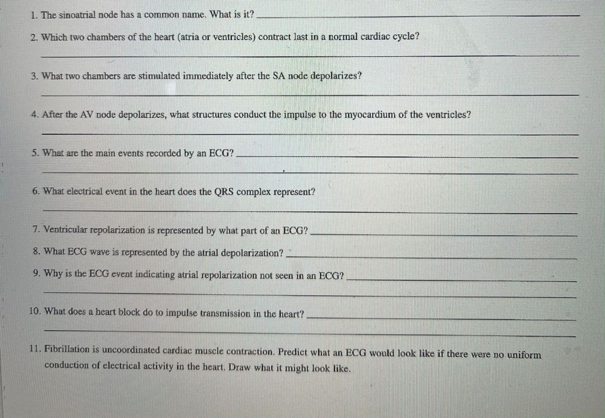 1. The sinoatrial node has a common name, What is it?
2. Which two chambers of the heart (atria or ventricles) contract last in a normal cardiac cycle?
3. What two chambers are stimulated immediately after the SA node depolarizes?
4. After the AV node depolarizes, what structures conduct the impulse to the myocardium of the ventricles?
5. What are the main events recorded by an ECG?
6. What electrial event in the heart does the QRS complex represent?
7. Ventricular repolarization is represented by what part of an ECG?
8. What ECG wave is represented by the atrial depolarization?
9. Why is the ECG event indicating atrial repolarization not seen in an ECG?
10. What does a heart block do to impulse transmission in the heart?
11. Fibrillation is uncoordinated cardiac muscle contraction. Predict what an ECG would look like if there were no uniform
conduction of electrical activity in the heart. Draw what it might look like.
