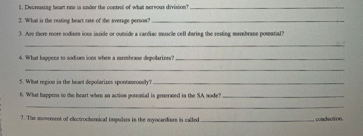 1. Decreasing heart rate is under the control of what nervous division?
2. What is the resting heart rate of the average person?
3. Are there more sodium ions inside or outside a cardiac muscle cell during the resting membrane potential?
4. What happens to sodium ions when a membrane depolarizes?
5. What region in the heart depolarizes spontaneously?
6. What happens to the heart when an action potential is generated in the SA node?
7. The movement of electrochemical impulses in the myocardium is called
conduction.
