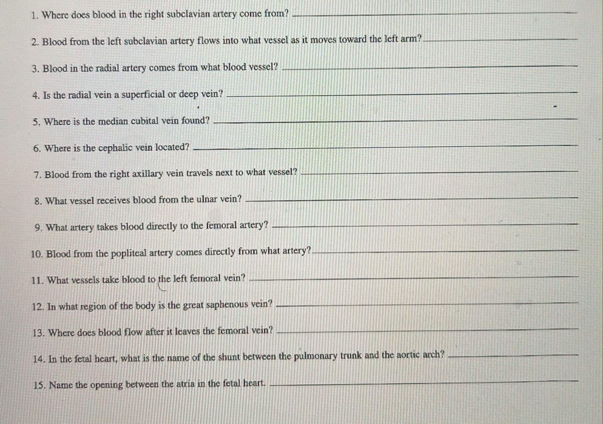 1. Where does blood in the right subclavian artery come from?
2. Blood from the left subclavian artery flows into what vessel as it moves toward the left arm?
3. Blood in the radial artery comes from what blood vessel?
4. Is the radial vein a superficial or deep vein?
5, Where is the median cubital vein found?
6. Where is the cephalic vein located?
7. Blood from the right axillary vein travels next to what vessel?
8. What vessel receives blood from the ulnar vein?
9. What artery takes blood directly to the femoral artery?
10. Blood from the popliteal artery comes directly from what artery?.
11. What vessels take blood to the left fermoral vein?
12. In what region of the body is the great saphenous vein?
13. Where does blood flow after it leaves the femoral vein?
14. In the fetal heart, what is the name of the shunt between the pulmonary trunk and the aortic arch?
15. Name the opening between the atria in the fetal heart.
