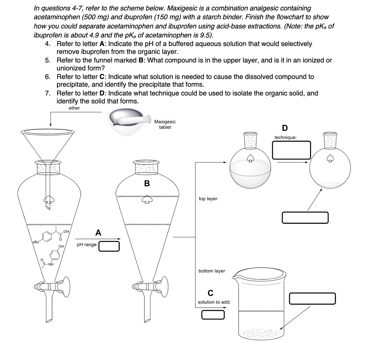 In questions 4-7, refer to the scheme below. Maxigesic is a combination analgesic containing
acetaminophen (500 mg) and ibuprofen (150 mg) with a starch binder. Finish the flowchart to show
how you could separate acetaminophen and ibuprofen using acid-base extractions. (Note: the pKa of
ibuprofen is about 4.9 and the pKa of acetaminophen is 9.5).
4. Refer to letter A: Indicate the pH of a buffered aqueous solution that would selectively
remove ibuprofen from the organic layer.
5. Refer to the funnel marked B: What compound is in the upper layer, and is it in an ionized or
unionized form?
6. Refer to letter C: Indicate what solution is needed to cause the dissolved compound to
precipitate, and identify the precipitate that forms.
7. Refer to letter D: Indicate what technique could be used to isolate the organic solid, and
identify the solid that forms.
ether
Maxigesic
tablet
D
technique:
В
top layer
A
sBu
pH range:
OH
-NH
bottom layer
C
solution to add:
