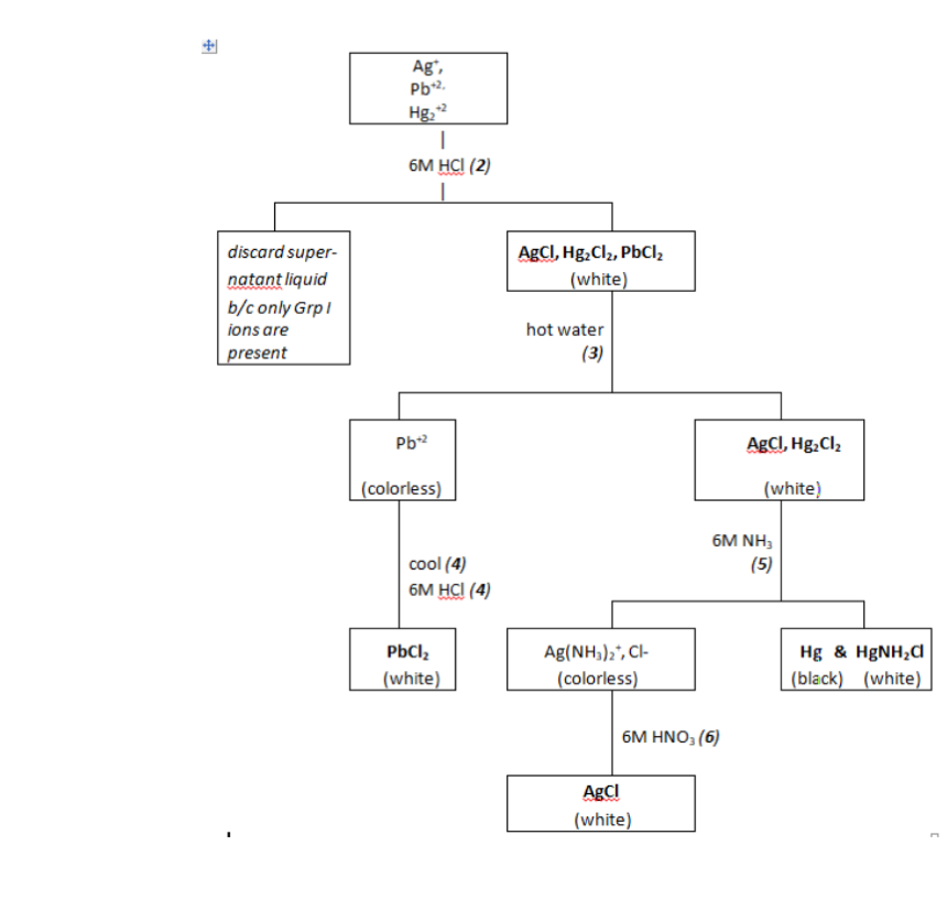 Ag",
Pb2.
Hg,
6м Hа (2)
discard super-
ABCI, Hg,Cl2, PbCI,
natant liquid
(white)
b/c only GrpI
ions are
hot water
present
(3)
Pb2
AgCI, Hg. Cl2
(colorless)
(white)
6M NH,
cool (4)
6M HC! (4)
(5)
Ag(NH,)2", Cl-
(colorless)
PbCl,
Hg & HØNH,d
(white)
(black) (white)
6M ΗΝΟ, (6)
AgCI
(white)
