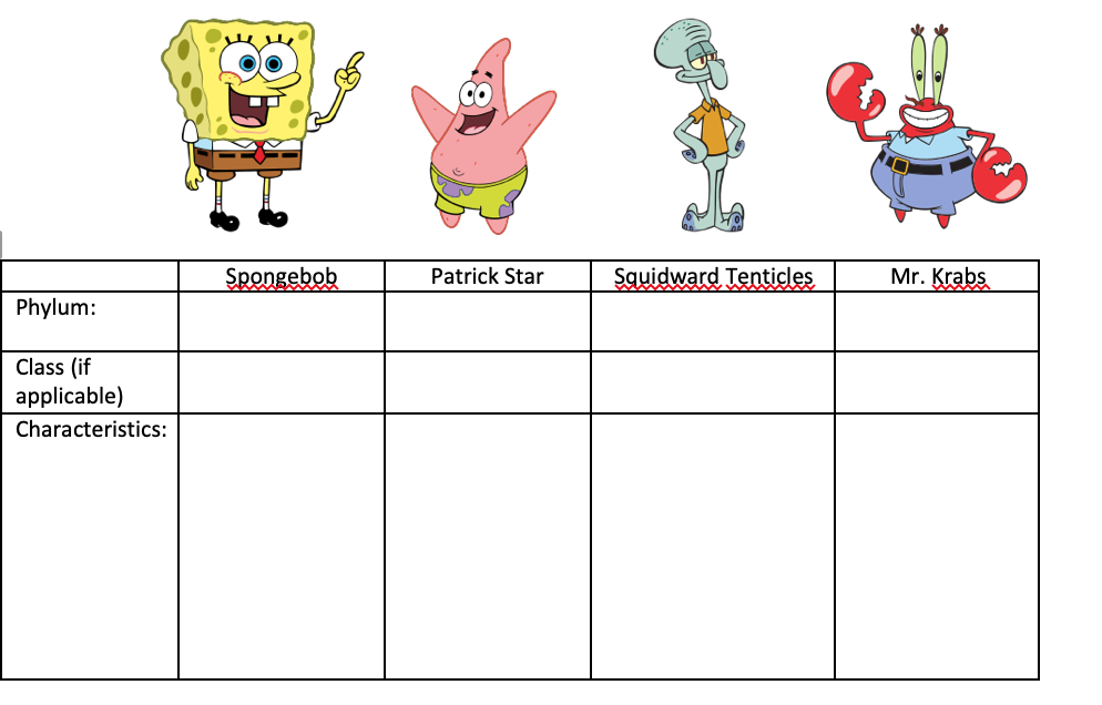 Spongebob
Patrick Star
Squidward Tenticles
Mr. Krabs
Phylum:
Class (if
applicable)
Characteristics:
