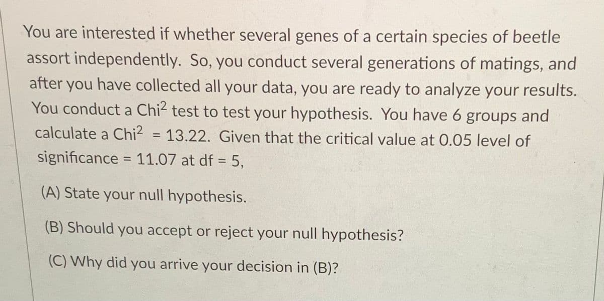 You are interested if whether several genes of a certain species of beetle
assort independently. So, you conduct several generations of matings, and
after you have collected all your data, you are ready to analyze your results.
You conduct a Chi2 test to test your hypothesis. You have 6 groups and
calculate a Chi? = 13.22. Given that the critical value at 0.05 level of
%3D
significance = 11.07 at df = 5,
%3D
(A) State your null hypothesis.
(B) Should you accept or reject your null hypothesis?
(C) Why did you arrive your decision in (B)?
