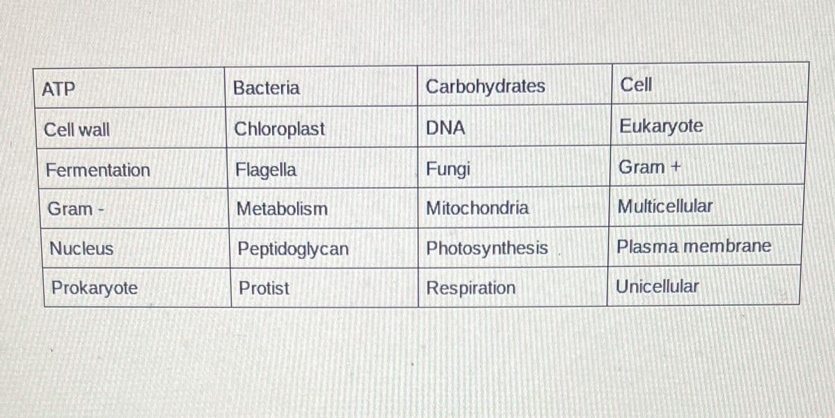 ATP
Cell wall
Fermentation
Gram -
Nucleus
Prokaryote
Bacteria
Chloroplast
Flagella
Metabolism
Peptidoglycan
Protist
Carbohydrates
DNA
Fungi
Mitochondria
Photosynthesis
Respiration
Cell
Eukaryote
Gram +
Multicellular
Plasma membrane
Unicellular