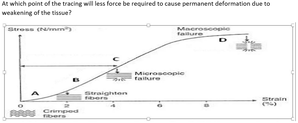 At which point of the tracing will less force be required to cause permanent deformation due to
weakening of the tissue?
Stress (N/mm)
A
B
Crimped
fibers
Straighten
fibers
Macroscopic
failure
failure
Microscopic
Strain