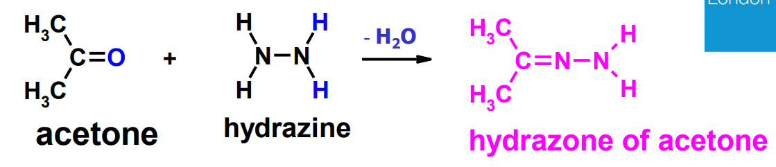 H₂C
H₂C
C=O
acetone
H
H
N-N
H
H
hydrazine
- H₂O
H₂C
H
H₂C
H
hydrazone of acetone
C=N-N