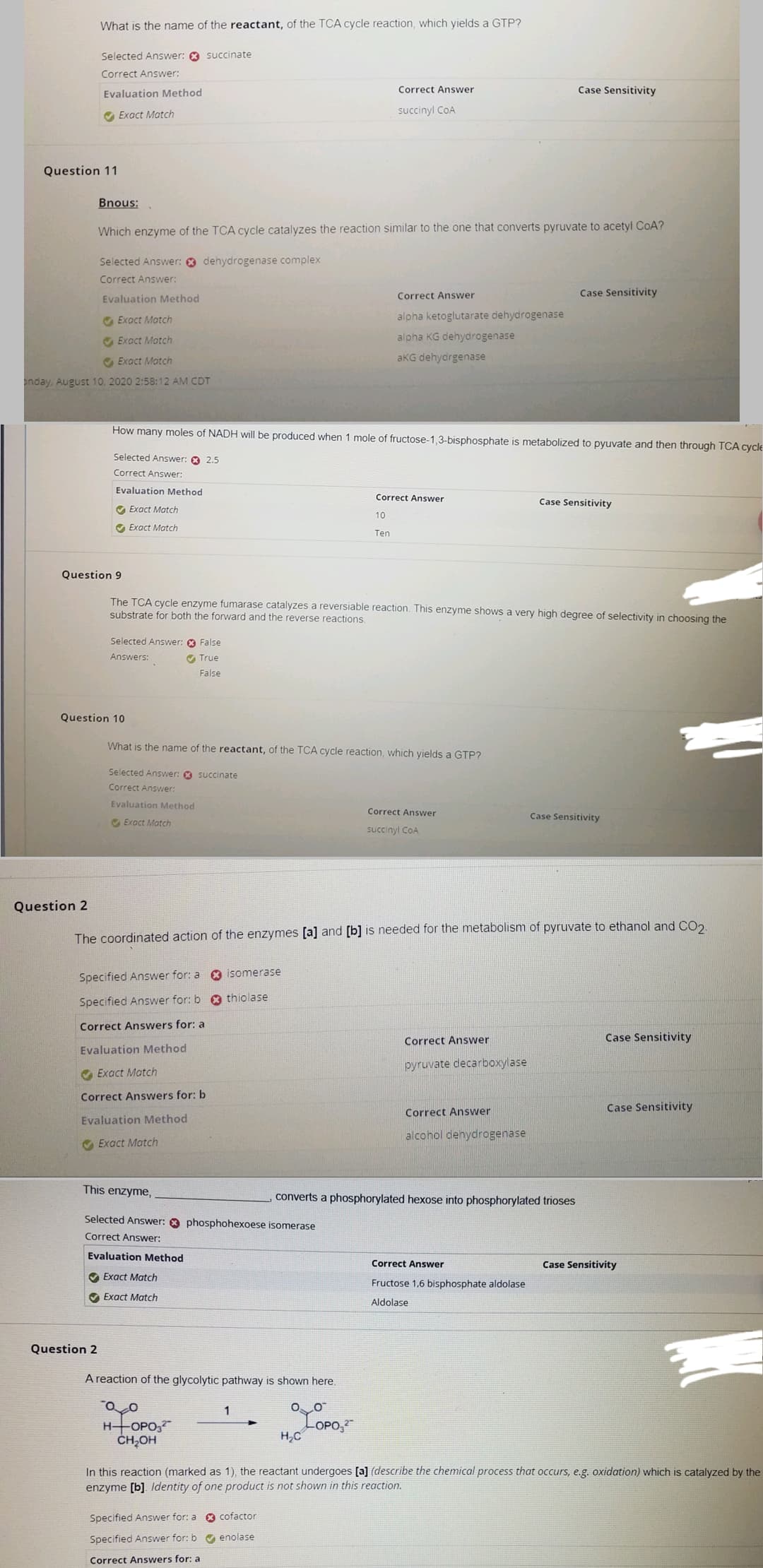 What is the name of the reactant, of the TCA cycle reaction, which yields a GTP?
Selected Answer: succinate
Correct Answer:
Evaluation Method
Exact Match
Question 11
Bnous:
Evaluation Method
Exact Match
Exact Match
Exact Match
onday, August 10, 2020 2:58:12 AM CDT
Which enzyme of the TCA cycle catalyzes the reaction similar to the one that converts pyruvate to acetyl CoA?
Selected Answer: dehydrogenase complex
Correct Answer:
Selected Answer: 2.5
Correct Answer:
Evaluation Method
Exact Match
✔ Exact Match
Selected Answer: False
Answers:
Question 10
Question 2
How many moles of NADH will be produced when 1 mole of fructose-1,3-bisphosphate is metabolized to pyuvate and then through TCA cycle
✔True
False
Selected Answer: succinate
Correct Answer:
Question 9
The TCA cycle enzyme fumarase catalyzes a reversiable reaction. This enzyme shows a very high degree of selectivity in choosing the
substrate for both the forward and the reverse reactions.
Evaluation Method
Exact Match
Specified Answer for: a
Specified Answer for: b
Correct Answers for: a
Evaluation Method
Exact Match
Correct Answers for: b
Evaluation Method
Exact Match
This enzyme,
What is the name of the reactant, of the TCA cycle reaction, which yields a GTP?
Evaluation Method
Exact Match
Exact Match
Selected Answer: phosphohexoese isomerase
Correct Answer:
isomerase
thiolase
A reaction of the glycolytic pathway is shown here.
Q O
H-OPO3²
CH₂OH
Specified Answer for: a
Specified Answer for: b
Correct Answers for: a
Question 2
The coordinated action of the enzymes [a] and [b] is needed for the metabolism of pyruvate to ethanol and CO₂.
1
Correct Answer
succinyl COA
cofactor
enolase
Correct Answer
alpha ketoglutarate dehydrogenase
alpha KG dehydrogenase
aKG dehydrgenase
10
Ten
00
Correct Answer
H₂C
-OPO-₂²
Correct Answer
succinyl COA
converts a phosphoryla hex into phosphorylated trioses
Case Sensitivity
Correct Answer
pyruvate decarboxylase
Correct Answer
alcohol dehydrogenase
Case Sensitivity
Case Sensitivity
Correct Answer
Fructose 1,6 bisphosphate aldolase
Aldolase
Case Sensitivity
Case Sensitivity
Case Sensitivity
In this reaction (marked as 1), the reactant undergoes [a] (describe the chemical process that occurs, e.g. oxidation) which is catalyzed by the
enzyme [b]. Identity of one product is not shown in this reaction.
Case Sensitivity