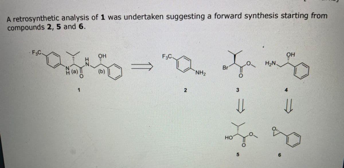 A retrosynthetic analysis of 1 was undertaken suggesting a forward synthesis starting from
compounds 2, 5 and 6.
F3C
OH
F3C.
H2N.
Br
A (a)
(b)
NH2
4,
но
3.
2.
