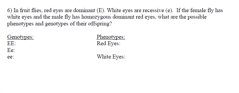 6) In fruit flies, red eyes are dominant (E). White eyes are recessive (e). If the female fly has
white eyes and the male fly has homozygous dominant red eyes, what are the possible
phenotypes and genotypes of their offspring?
Genotypes:
EE:
Phenotypes:
Red Eyes:
Ee:
White Eyes:
е:
