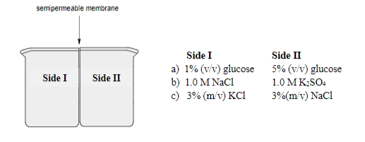 semipermeable membrane
Side I
a) 1% (v/v) glucose 5% (v/v) glucose
b) 1.0 M NaC1
c) 3% (m/v) KCI
Side II
Side I
Side II
1.0 MK;SO:
3%(m/v) NaCl
