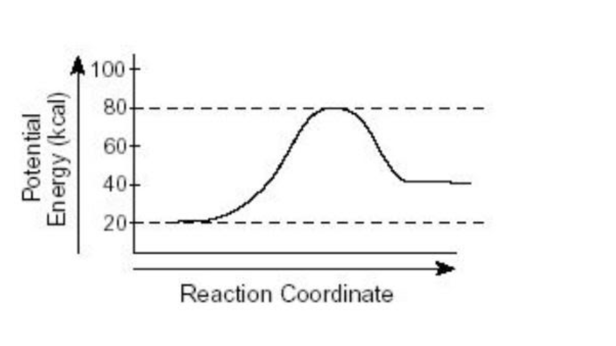 100+
80-
60+
40+
20+
Reaction Coordinate
Potential
Energy (kcal)
