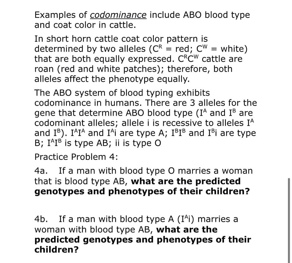 Examples of codominance include ABO blood type
and coat color in cattle.
In short horn cattle coat color pattern is
determined by two alleles (CR = red; CW = white)
that are both equally expressed. CRCW cattle are
roan (red and white patches); therefore, both
alleles affect the phenotype equally.
The ABO system of blood typing exhibits
codominance in humans. There are 3 alleles for the
gene that determine ABO blood type (IA and IB are
codominant alleles; allelei is recessive to alleles IA
and IB). IAIA and I^i are type A; I®I® and IPi are type
B; I^IB is type AB; ii is type O
Practice Problem 4:
4a. If a man with blood type O marries a woman
that is blood type AB, what are the predicted
genotypes and phenotypes of their children?
4b. If a man with blood type A (I^i) marries a
woman with blood type AB, what are the
predicted genotypes and phenotypes of their
children?
