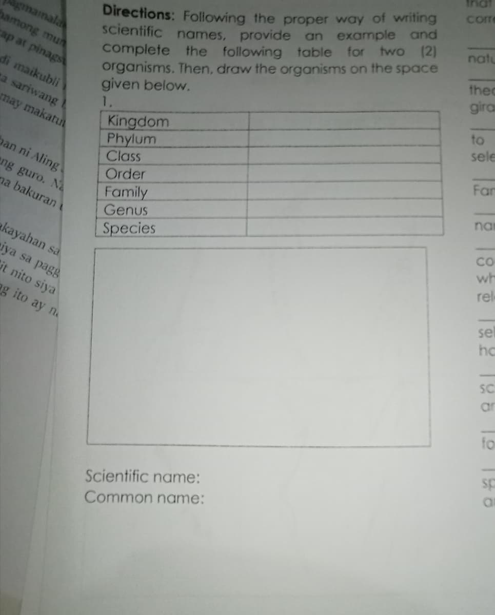 Dui
corme
agmainala
bamong mun
ap at pinags
Directions: Following the proper way of writing
scientific names, provide an example and
complete the following table
organisms. Then, draw the organisms on the space
given below.
1.
two (2)
natu
for
theo
di maikubli
gira
sariwang A
may makatut
to
Kingdom
Phylum
Class
Order
sele
ban ni Aling
Far
eng guro. Na
na bakuran
na
Family
Genus
CO
Species
wh
akayahan sa
iya sa pagg
it nito siya
rel
sel
ag ito ay n.
hc
SC
ar
fo
sp
Scientific name:
Common name:
