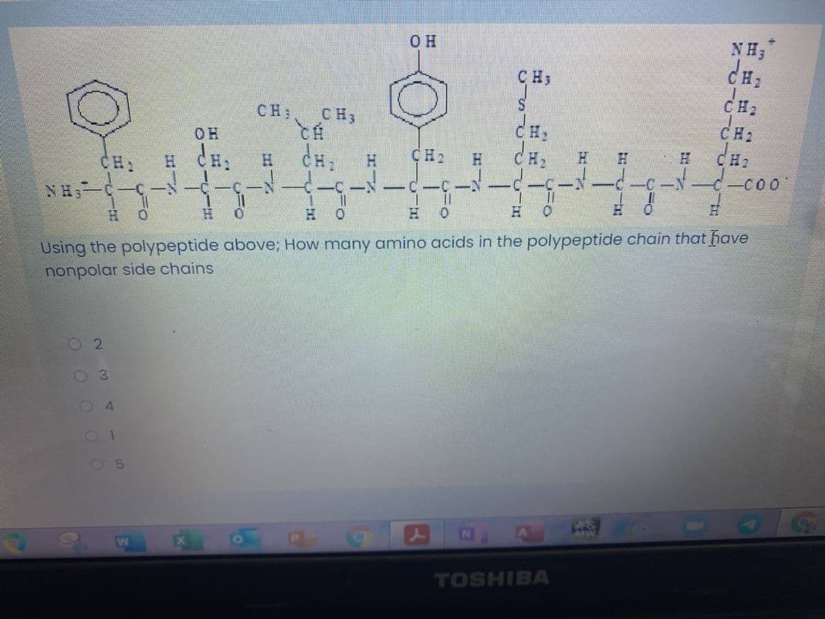 NH;
CH:
OH
CH3
CH2
CH2
CH;
CH;
dH,
OH
H CH,
CH1
CH2
CH2
CH
H.
-C-N-C- C0.
NH C-C-N
H.
- - N - C
||
H.
H.
H.
Using the polypeptide above; How many amino acids in the polypeptide chain that have
nonpolar side chains
23
01
25
TOSHIBA
出 T。
