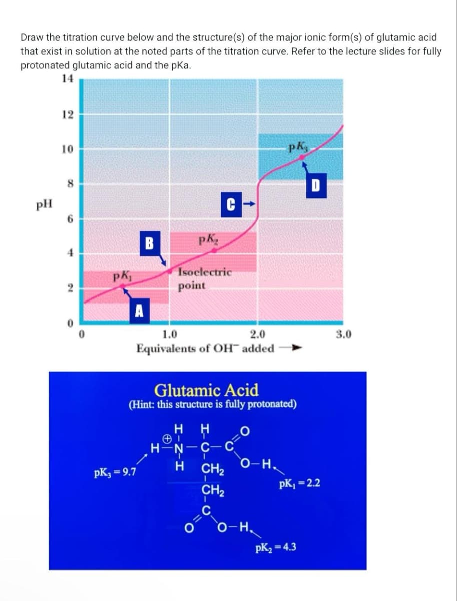 Draw the titration curve below and the structure(s) of the major ionic form(s) of glutamic acid
that exist in solution at the noted parts of the titration curve. Refer to the lecture slides for fully
protonated glutamic acid and the pka.
14
pH
12
10
8
6
4
2
0
0
PK₁
B
A
pK₂=9.7
PK,
Isoelectric
point
1.0
2.0
Equivalents of OH™ added
C
Glutamic Acid
(Hint: this structure is fully protonated)
H
H-N
H
O
CH₂
CH₂
I
C
O-H₂
PK,
-H₂
pK₁ = 2.2
pK₂=4.3
3.0